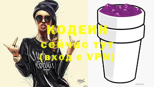 индика Вяземский