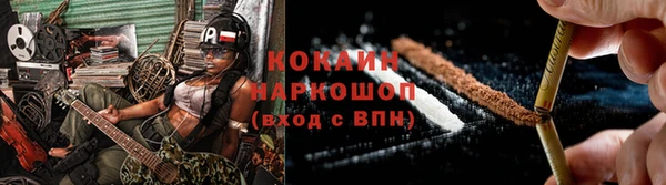 индика Вяземский
