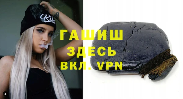 индика Вяземский