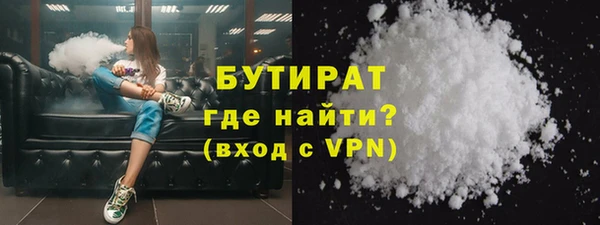 индика Вяземский