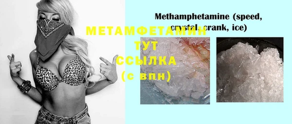индика Вяземский