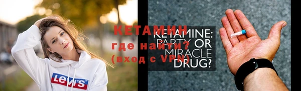 индика Вяземский