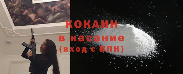 индика Вяземский