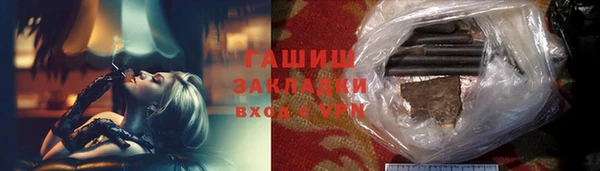 индика Вяземский