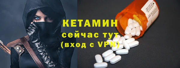 индика Вяземский