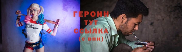 индика Вяземский