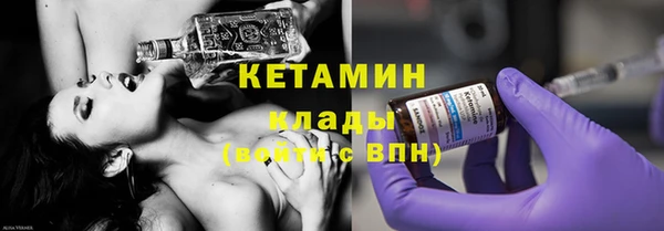 индика Вяземский