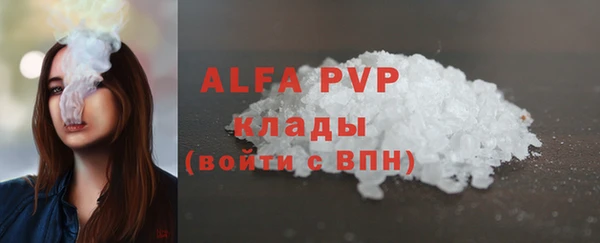 индика Вяземский