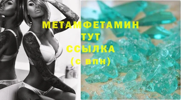 индика Вяземский