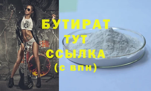 индика Вяземский