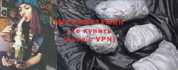 индика Вяземский
