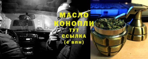 индика Вяземский