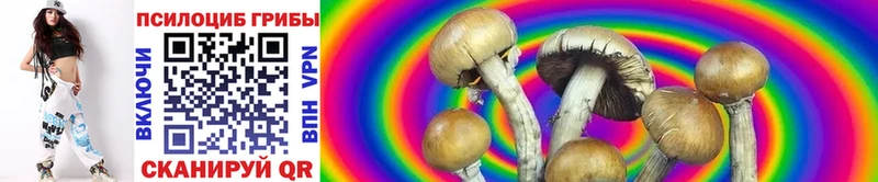 Галлюциногенные грибы Psilocybine cubensis  купить закладку  Кашира 